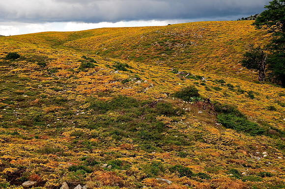 The Plateau di Coscione