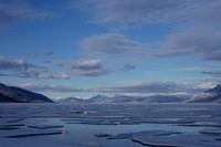 Tanquary Fiord, Quttinirpaaq National Park