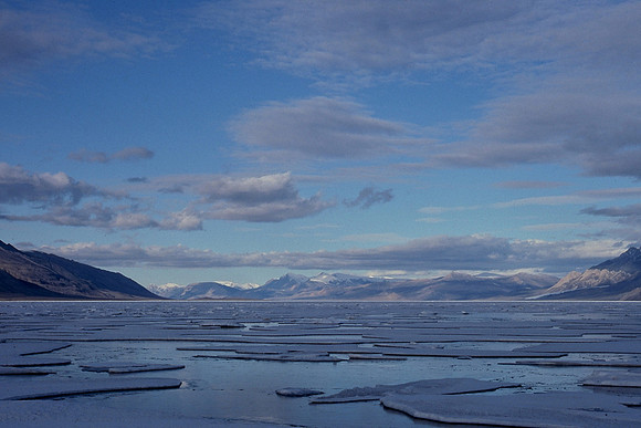 Tanquary Fiord, Quttinirpaaq National Park