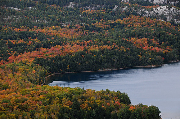 The east end of O.S.A. Lake