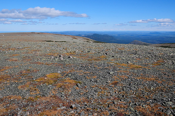 Mont Jacques-Cartier, Parc de la Gaspésie