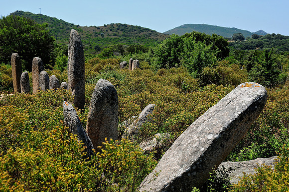 Alignement de Pagliaju