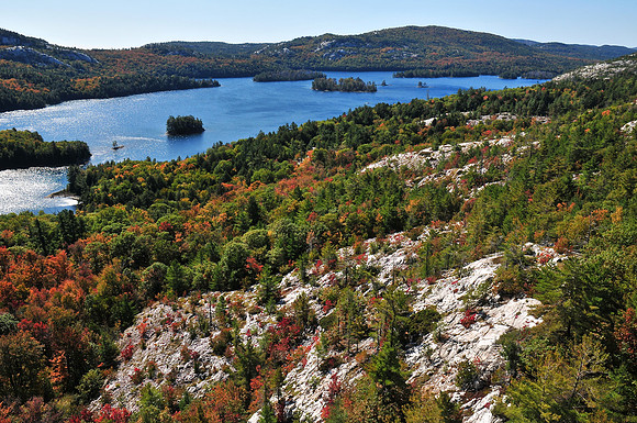 O.S.A. Lake from the northeast